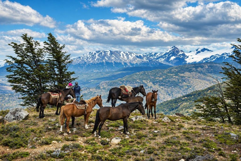 Horses on a ridge with snow-capped Patagonian mountains behind