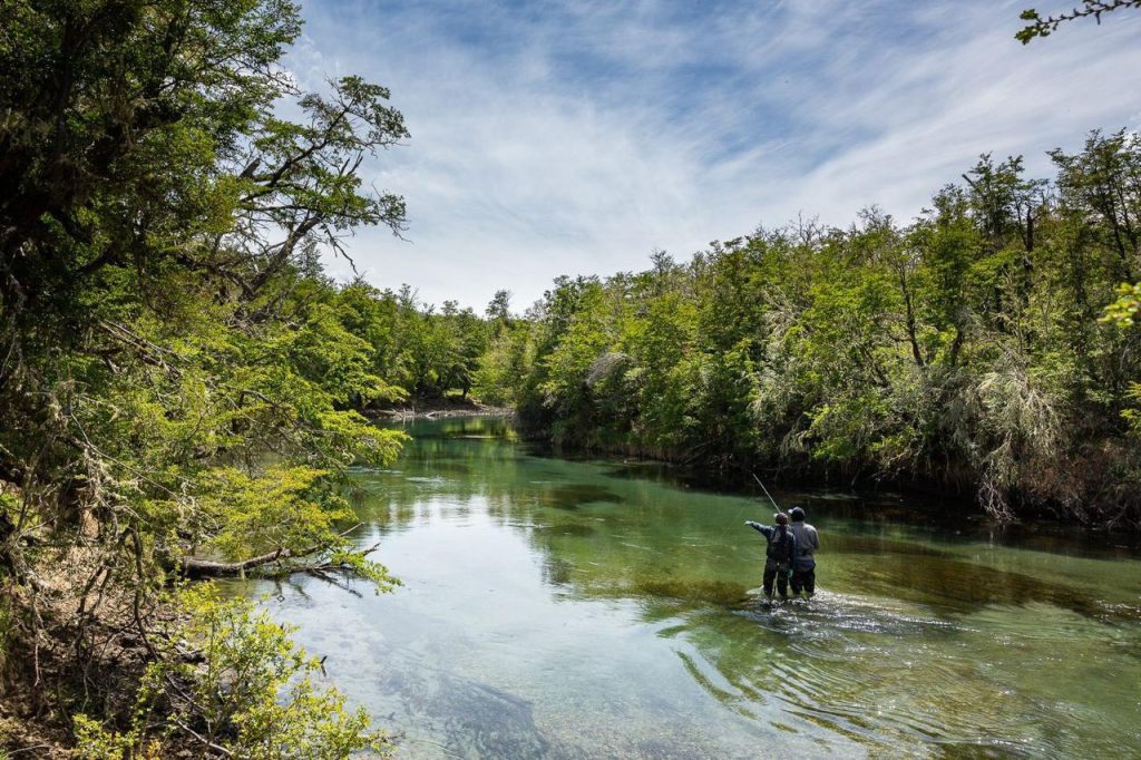 Angler wading a green, forest-lined river
